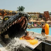 Themed Waterparks